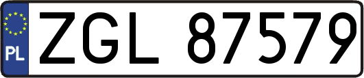 ZGL87579