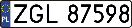 ZGL87598