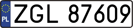 ZGL87609