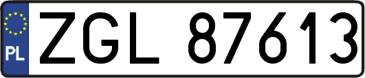 ZGL87613