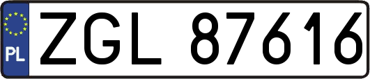 ZGL87616