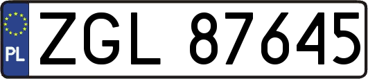 ZGL87645