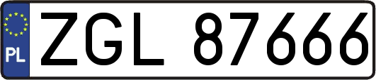ZGL87666