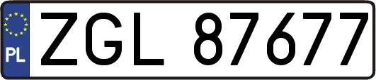 ZGL87677