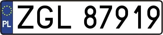 ZGL87919
