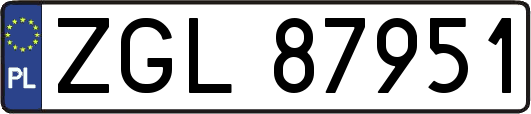 ZGL87951