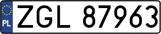 ZGL87963