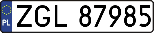 ZGL87985
