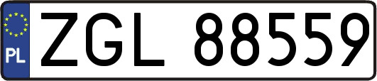 ZGL88559