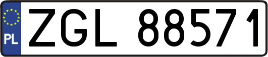 ZGL88571