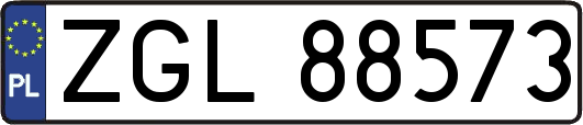 ZGL88573