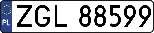 ZGL88599