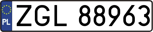 ZGL88963