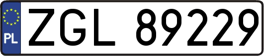 ZGL89229