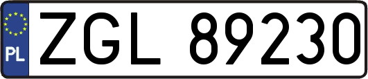 ZGL89230