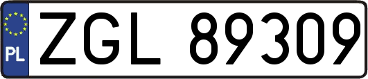 ZGL89309