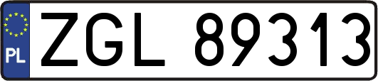 ZGL89313