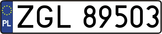 ZGL89503
