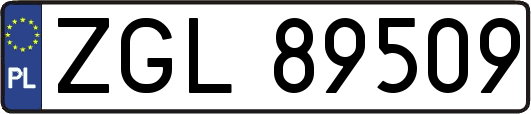 ZGL89509
