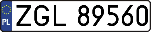 ZGL89560