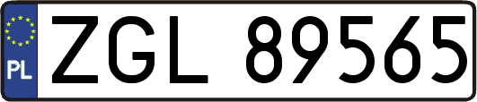 ZGL89565