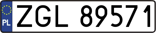 ZGL89571