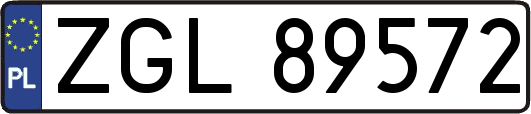 ZGL89572