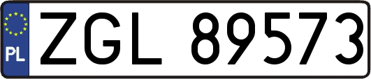 ZGL89573