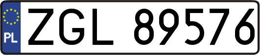 ZGL89576