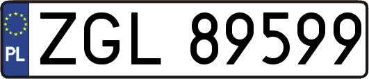 ZGL89599