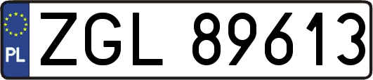 ZGL89613