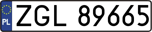 ZGL89665