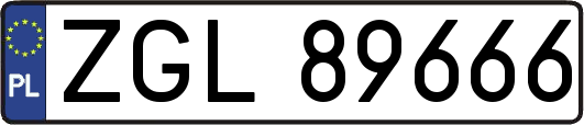 ZGL89666