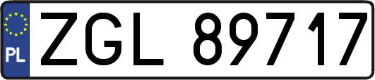 ZGL89717