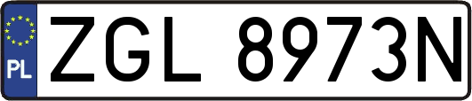 ZGL8973N