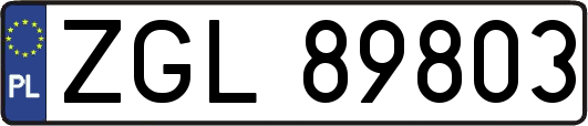 ZGL89803