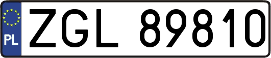 ZGL89810