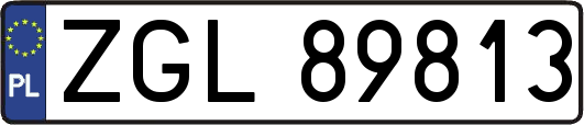 ZGL89813