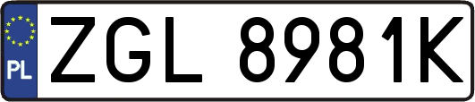 ZGL8981K