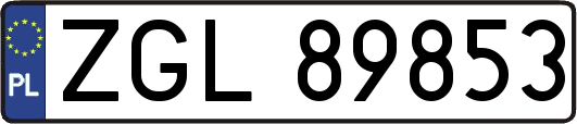 ZGL89853