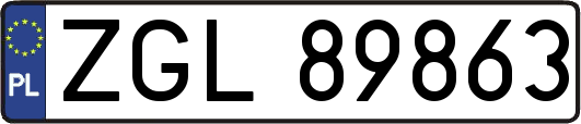 ZGL89863