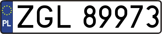 ZGL89973