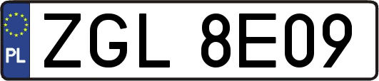 ZGL8E09