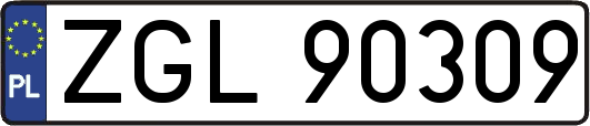 ZGL90309