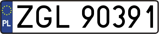 ZGL90391