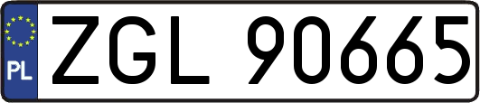 ZGL90665