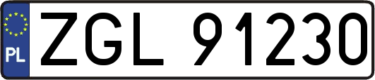ZGL91230