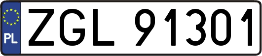 ZGL91301