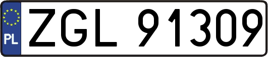 ZGL91309