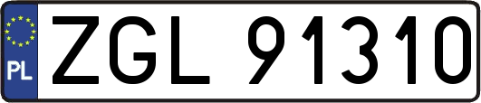 ZGL91310